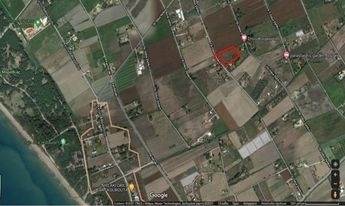 (For Sale) Land Large Land  || Ileias/Amaliada - 5.200 Sq.m, 60.000€ 