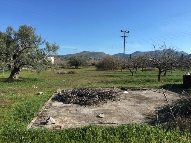 (Προς Πώληση) Αξιοποιήσιμη Γη Οικόπεδο || Πειραιάς/Αίγινα - 6.200 τ.μ, 175.000€ 