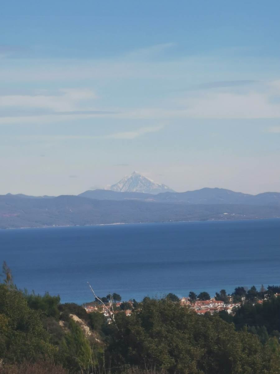(Προς Αντιπαροχή) Αξιοποιήσιμη Γη Οικόπεδο || Ν. Χαλκιδικής/Κασσάνδρα - 5.184 τ.μ, 100.000€ 