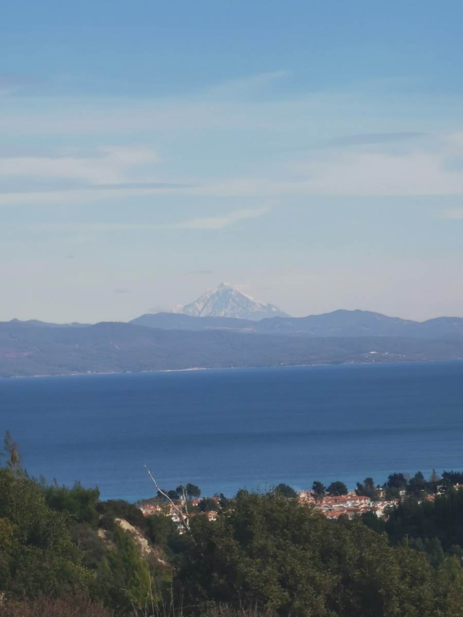 (Προς Αντιπαροχή) Αξιοποιήσιμη Γη Οικόπεδο || Ν. Χαλκιδικής/Κασσάνδρα - 5.184 τ.μ, 100.000€ 